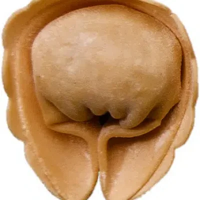 Tortelloni aux cèpes