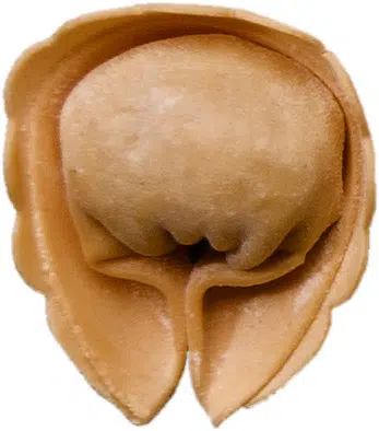 Tortelloni aux cèpes (originale)