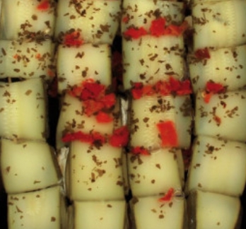 Involtini courgette fromage (originale)