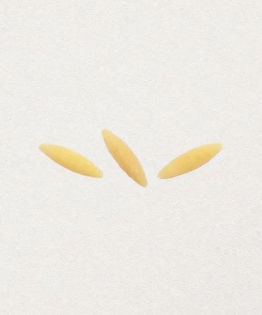 Orzo (originale)