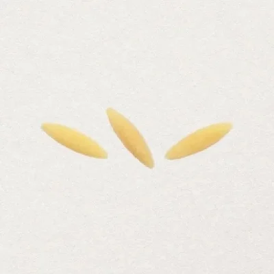 Orzo
