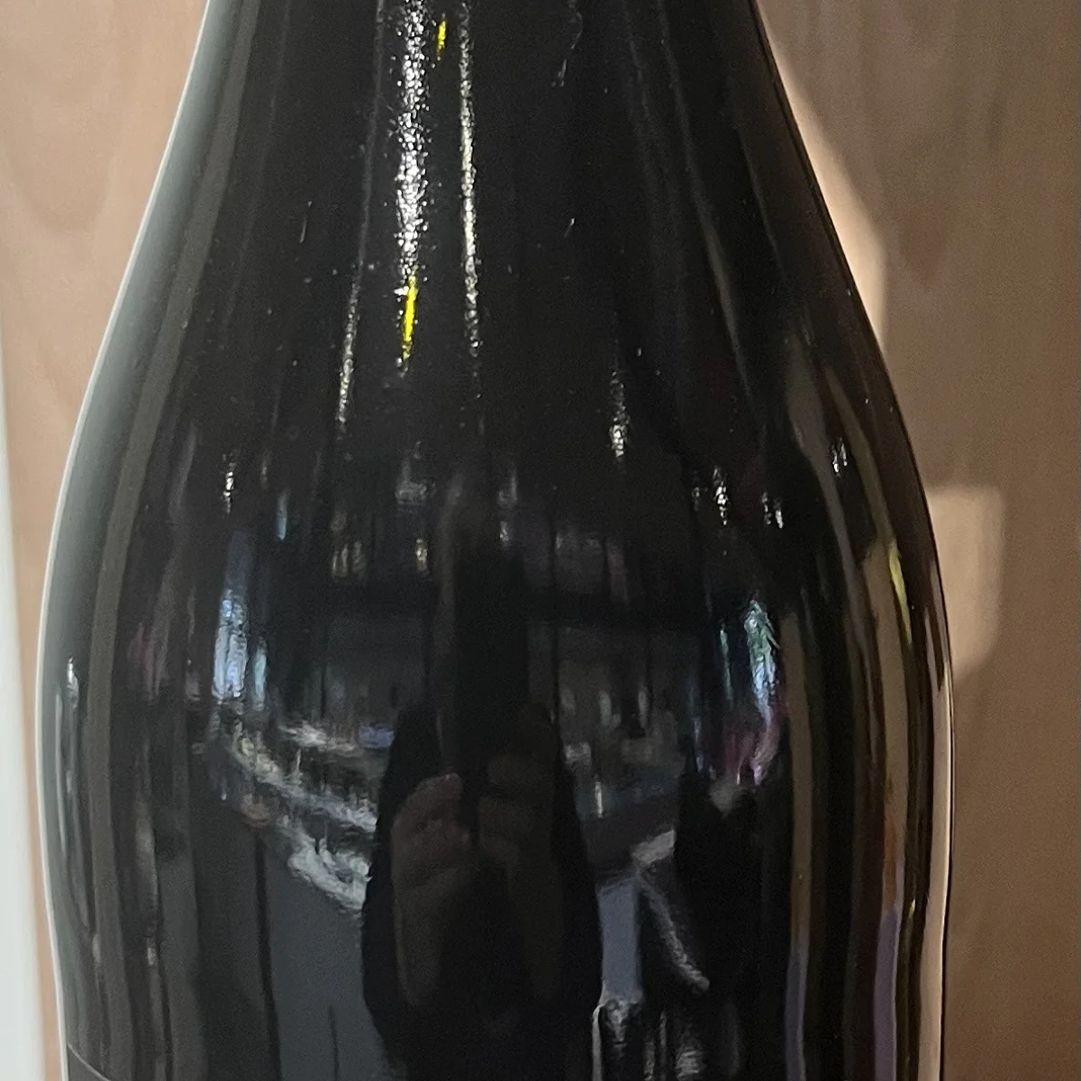Lambrusco Dop Amabile-75cl
