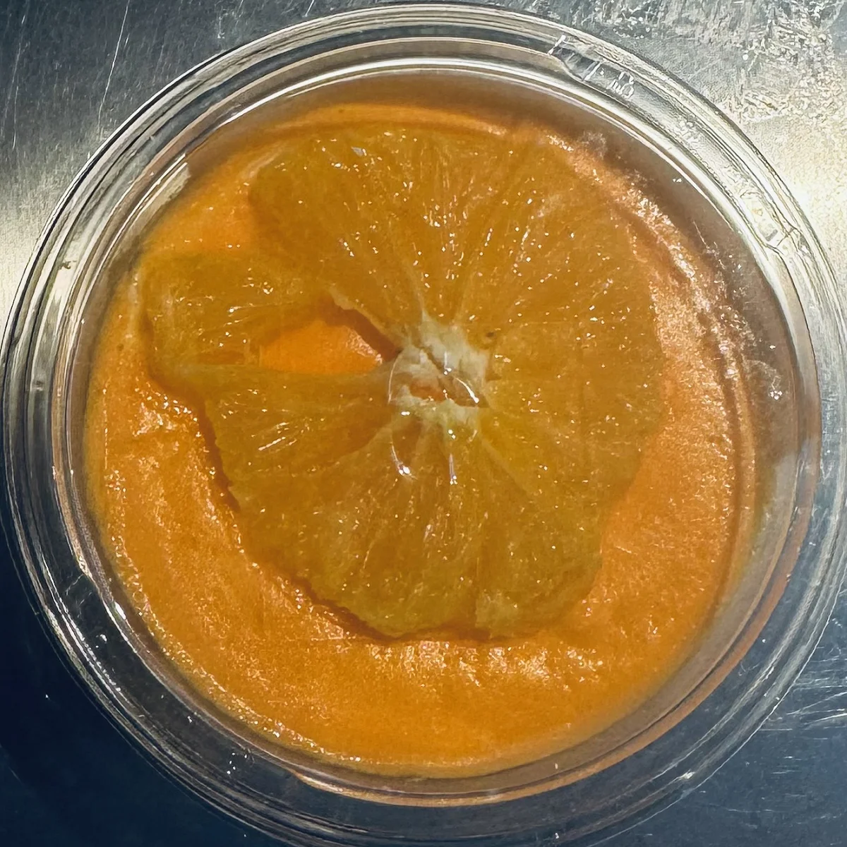 Panna Cotta Oranges